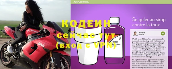 ГАЛЛЮЦИНОГЕННЫЕ ГРИБЫ Кукмор