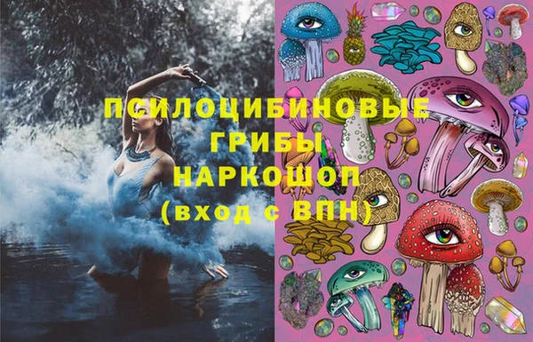 ГАЛЛЮЦИНОГЕННЫЕ ГРИБЫ Кукмор