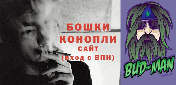 ГАЛЛЮЦИНОГЕННЫЕ ГРИБЫ Кукмор