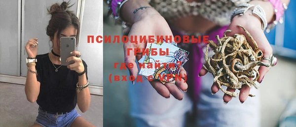 ГАЛЛЮЦИНОГЕННЫЕ ГРИБЫ Кукмор
